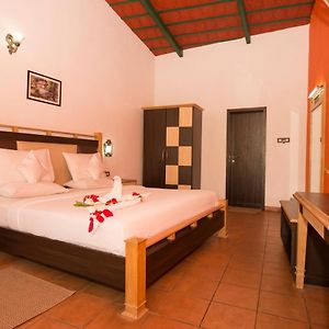 Deluxe Pool Facing Room